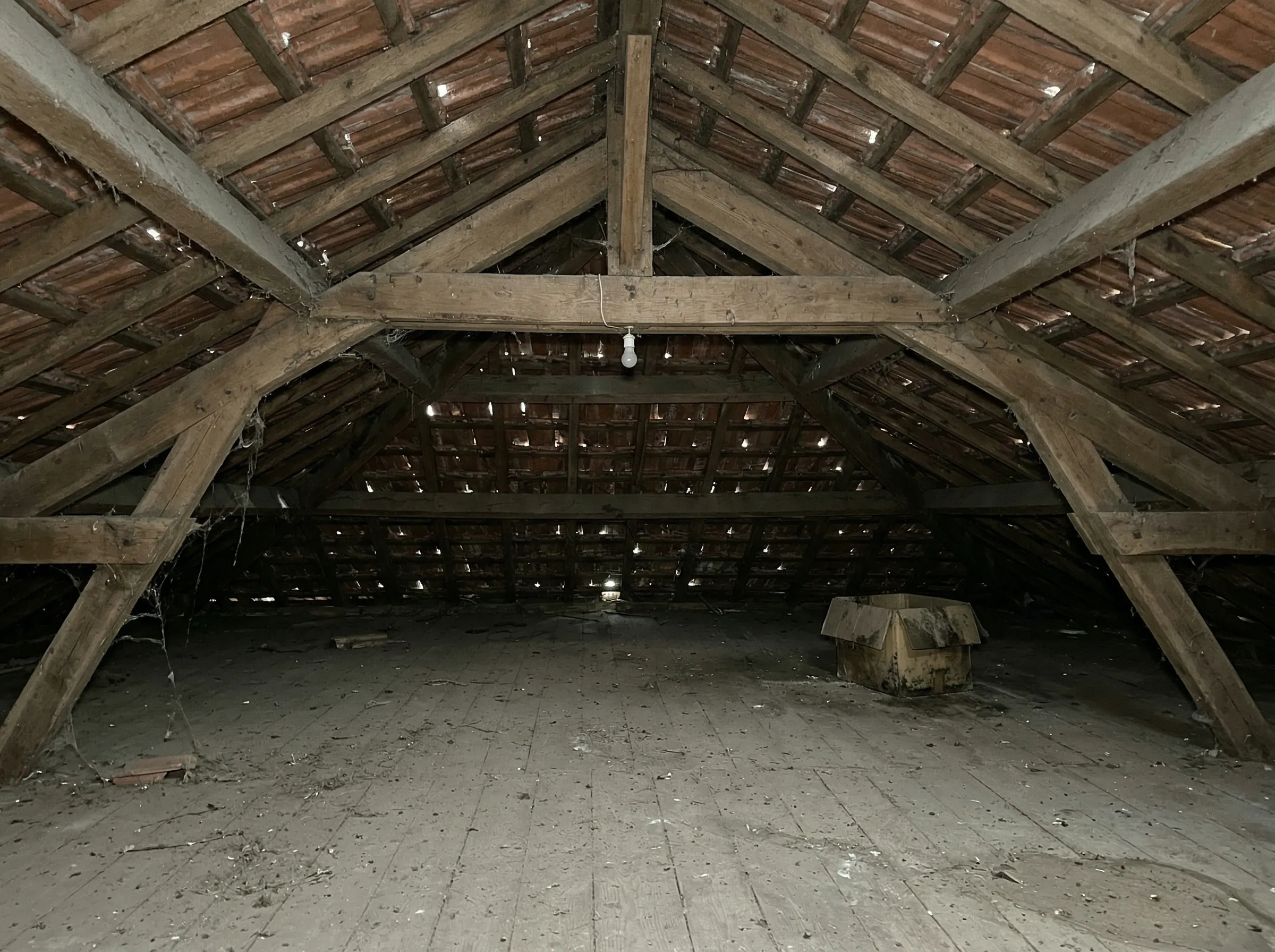 Combles non isolés avec charpente nue dans une maison à Yvrac