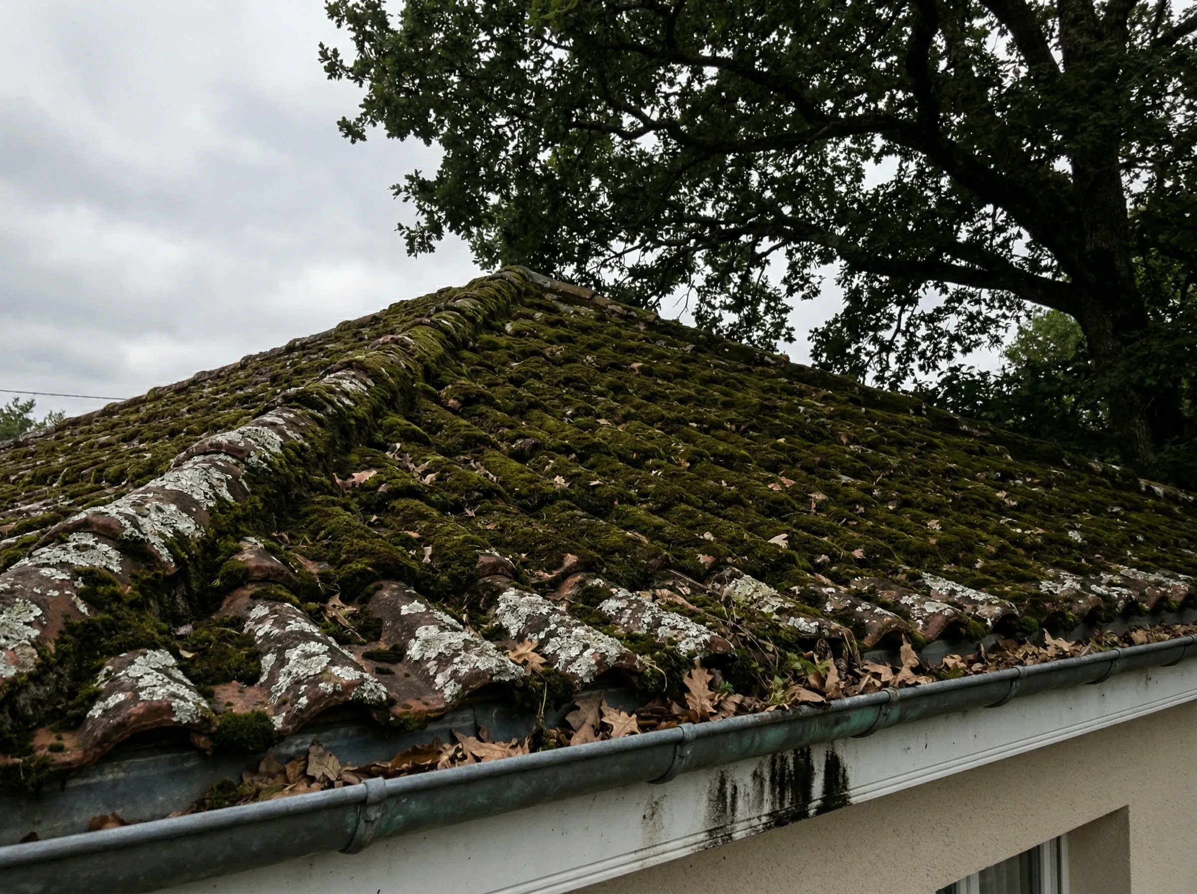 Toiture couverte de mousse et de lichens avant nettoyage à Yvrac