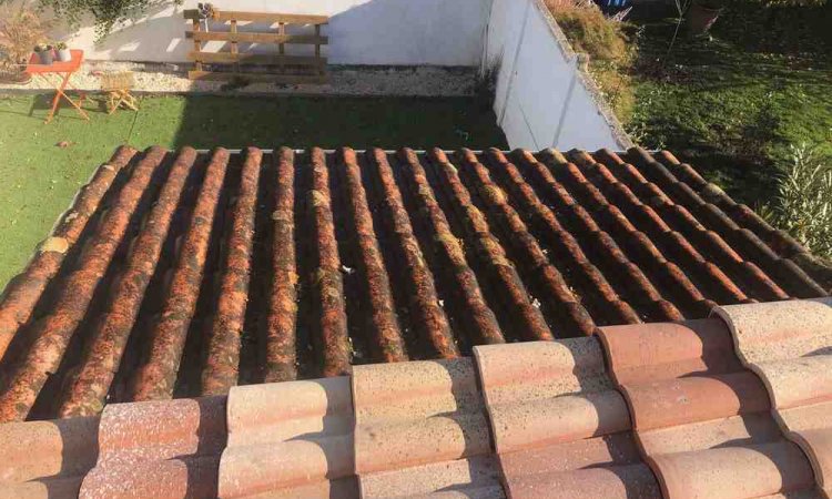 Démoussage de toiture avec anti-mousses & hydrofuge incolore - Bordeaux - ECO HABITAT SERVICES