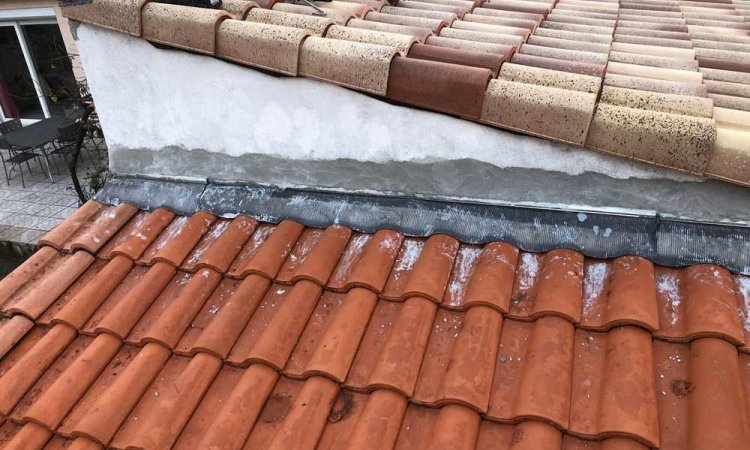 Démoussage de toiture avec anti-mousses & hydrofuge incolore - Bordeaux - ECO HABITAT SERVICES